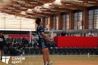 CSS06716-watermarked