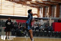 CSS06720-watermarked