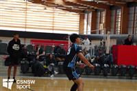 CSS06721-watermarked