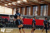 CSS06728-watermarked