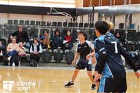 CSS06689-watermarked
