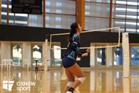 CSS06753-watermarked