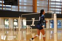 CSS06754-watermarked