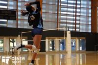 CSS06757-watermarked