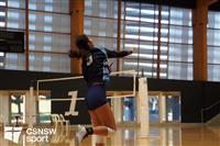 CSS06758-watermarked