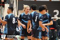 CSS06734-watermarked
