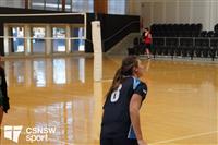 CSS06736-watermarked