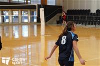 CSS06737-watermarked
