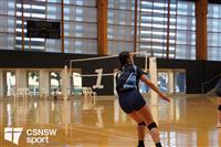 CSS06774-watermarked
