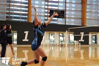 CSS06776-watermarked