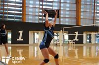 CSS06777-watermarked