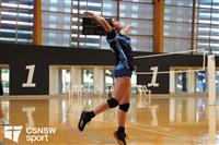 CSS06778-watermarked