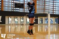 CSS06779-watermarked