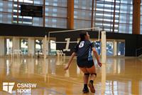 CSS06781-watermarked