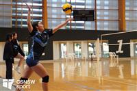 CSS06782-watermarked