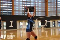CSS06784-watermarked