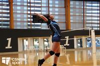 CSS06785-watermarked