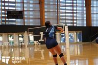 CSS06787-watermarked