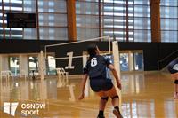 CSS06788-watermarked