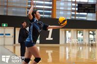 CSS06795-watermarked