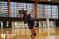 CSS06809-watermarked