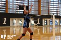 CSS06771-watermarked