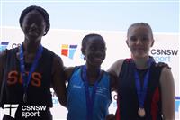 CSS03462-watermarked