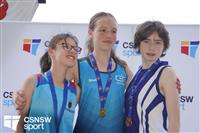 CSS03726-watermarked