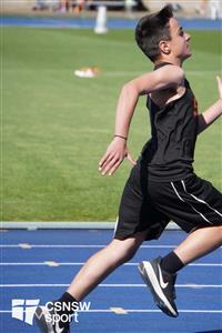 CSS03839-watermarked