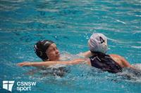 CSS06414-watermarked