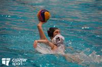 CSS06416-watermarked