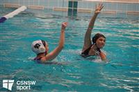 CSS06421-watermarked