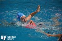 CSS06465-watermarked