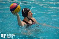 CSS06480-watermarked
