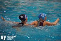 CSS06485-watermarked