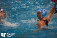 CSS06491-watermarked