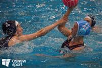 CSS06492-watermarked