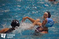 CSS06493-watermarked