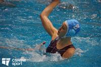 CSS06552-watermarked