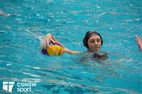 CSS06433-watermarked