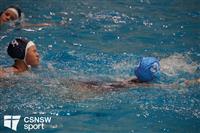 CSS06444-watermarked