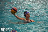 CSS06683-watermarked