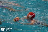 CSS06692-watermarked