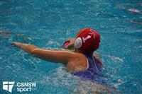 CSS06694-watermarked