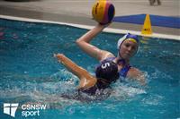 CSS06717-watermarked