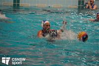 CSS06735-watermarked