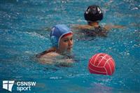CSS06588-watermarked