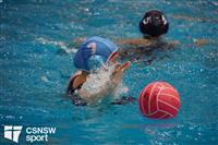 CSS06589-watermarked
