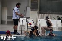 CSS06602-watermarked