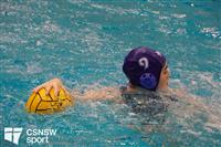 CSS06618-watermarked